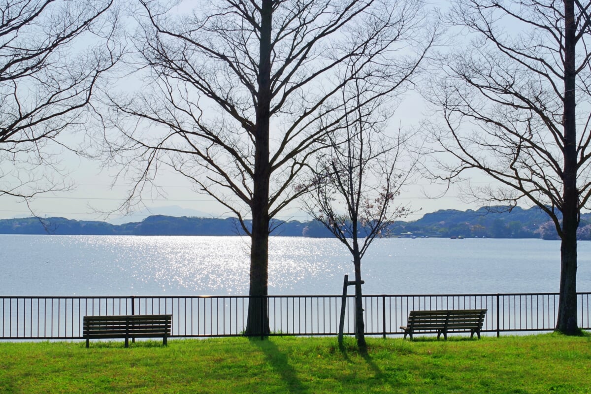 響灘緑地の写真4