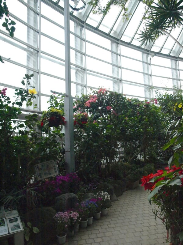 伊丹市昆虫館の写真4