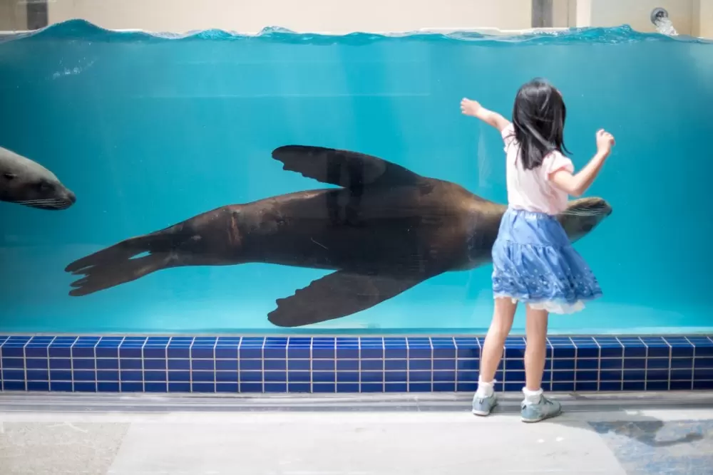 鳥羽水族館の写真1