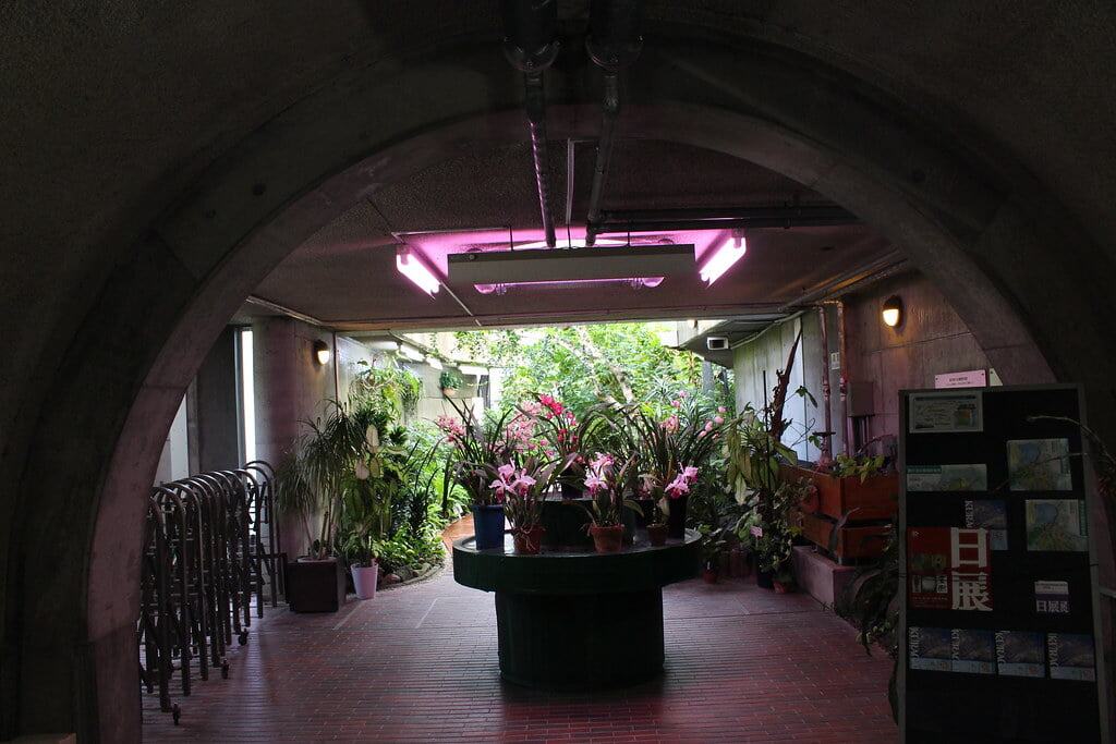 鞍ヶ池公園の写真2