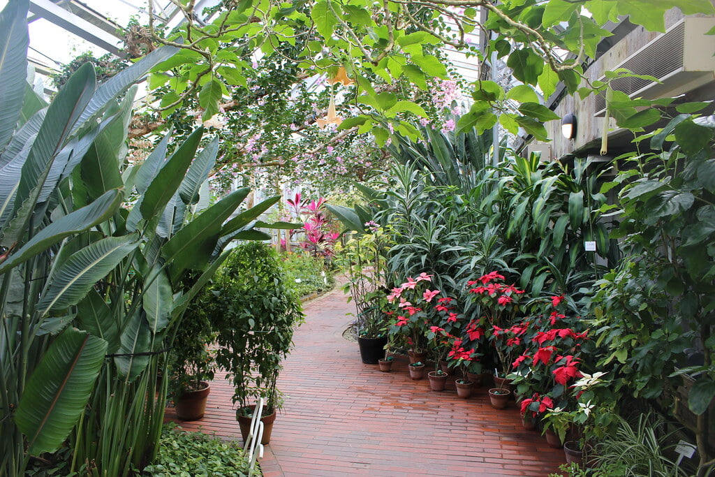 鞍ヶ池公園の写真3