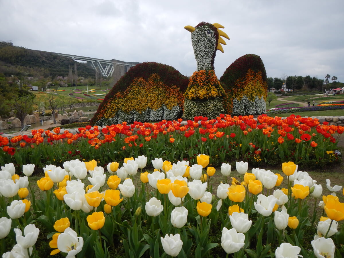 淡路島国営明石海峡公園の写真2