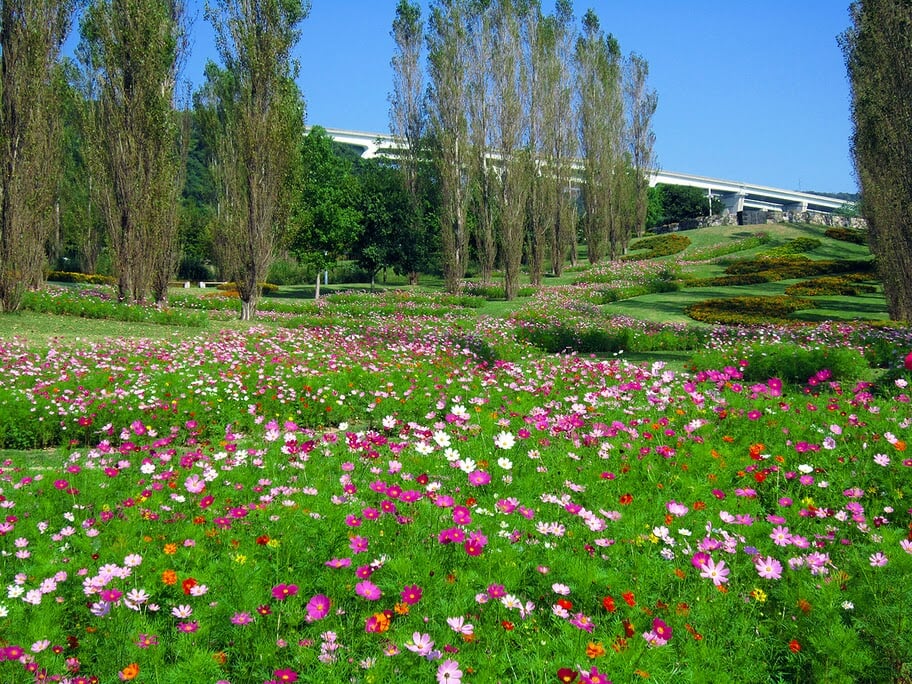 淡路島国営明石海峡公園の写真4
