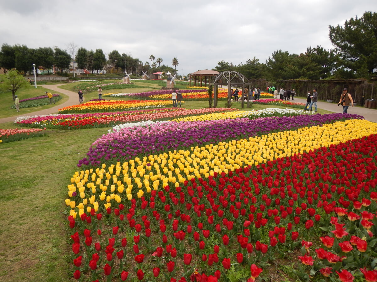 淡路島国営明石海峡公園の写真6