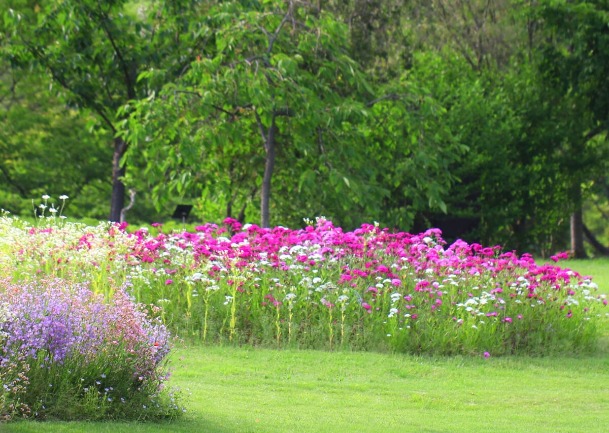 淡路島国営明石海峡公園の写真8