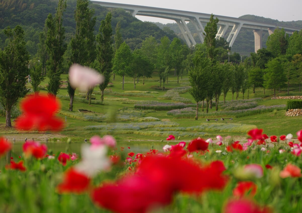 淡路島国営明石海峡公園の写真10