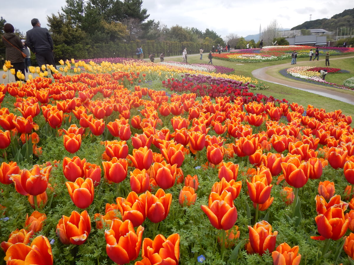淡路島国営明石海峡公園の写真11