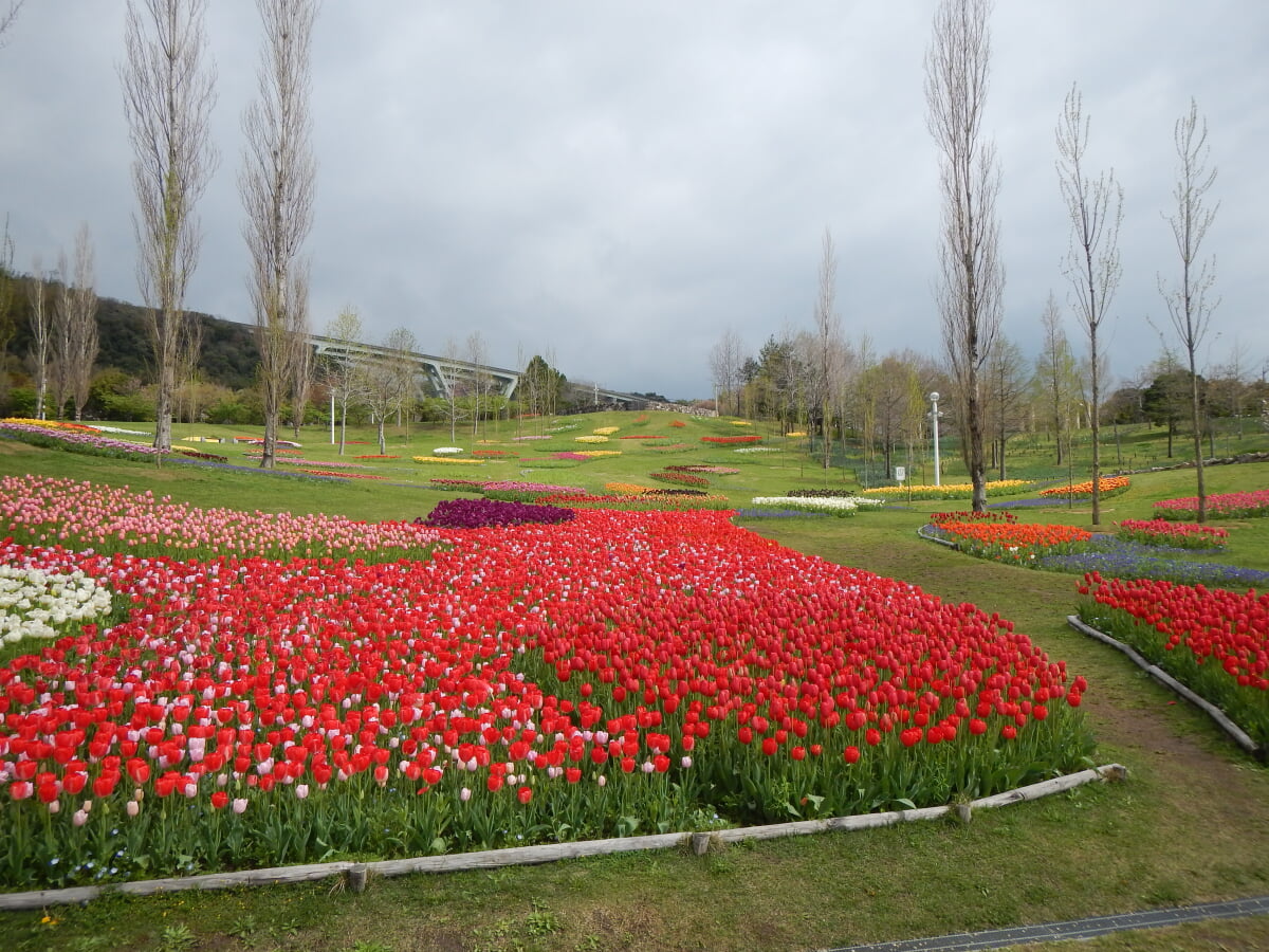 淡路島国営明石海峡公園の写真13