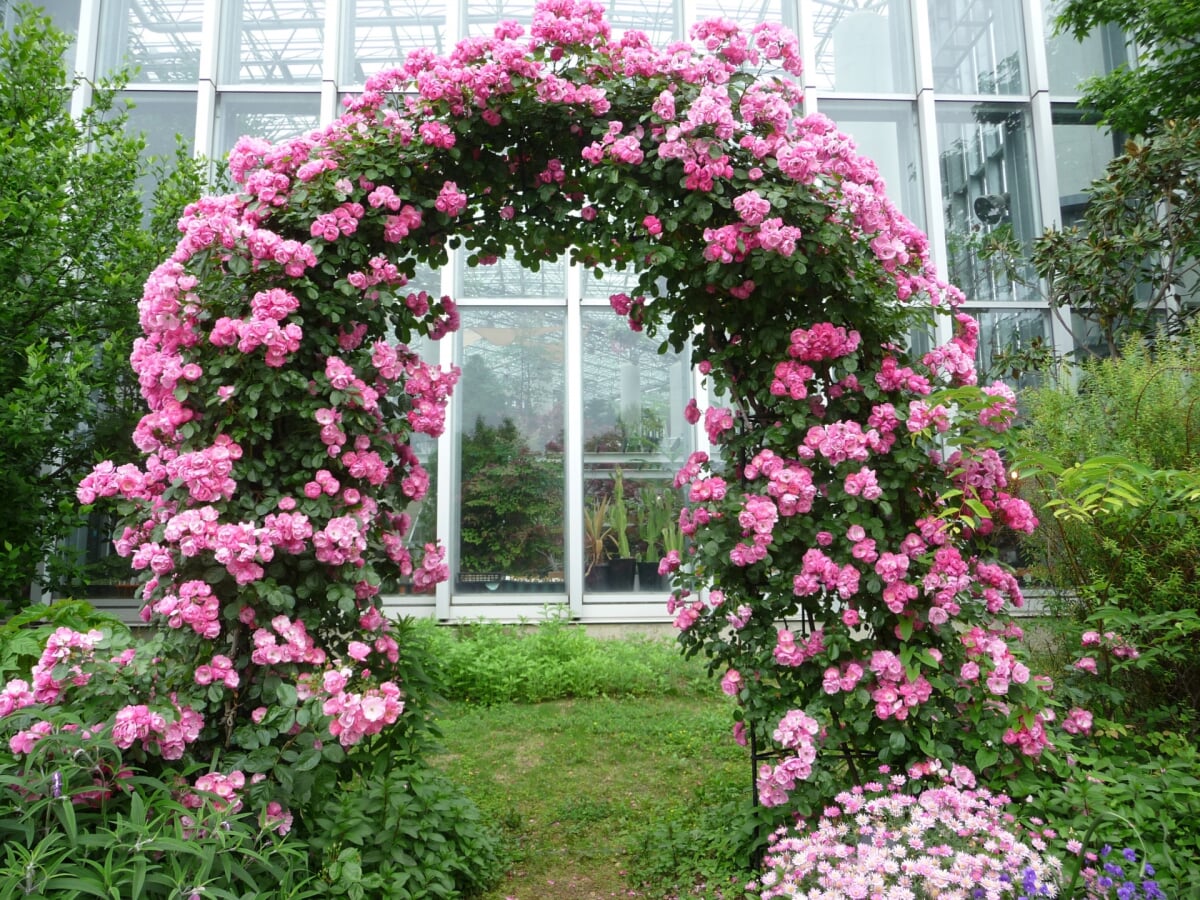 淡路島国営明石海峡公園の写真14