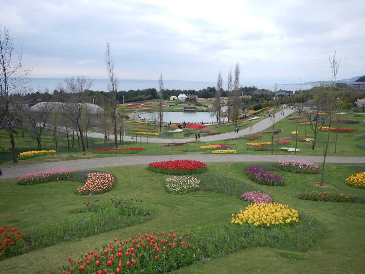 淡路島国営明石海峡公園の写真15