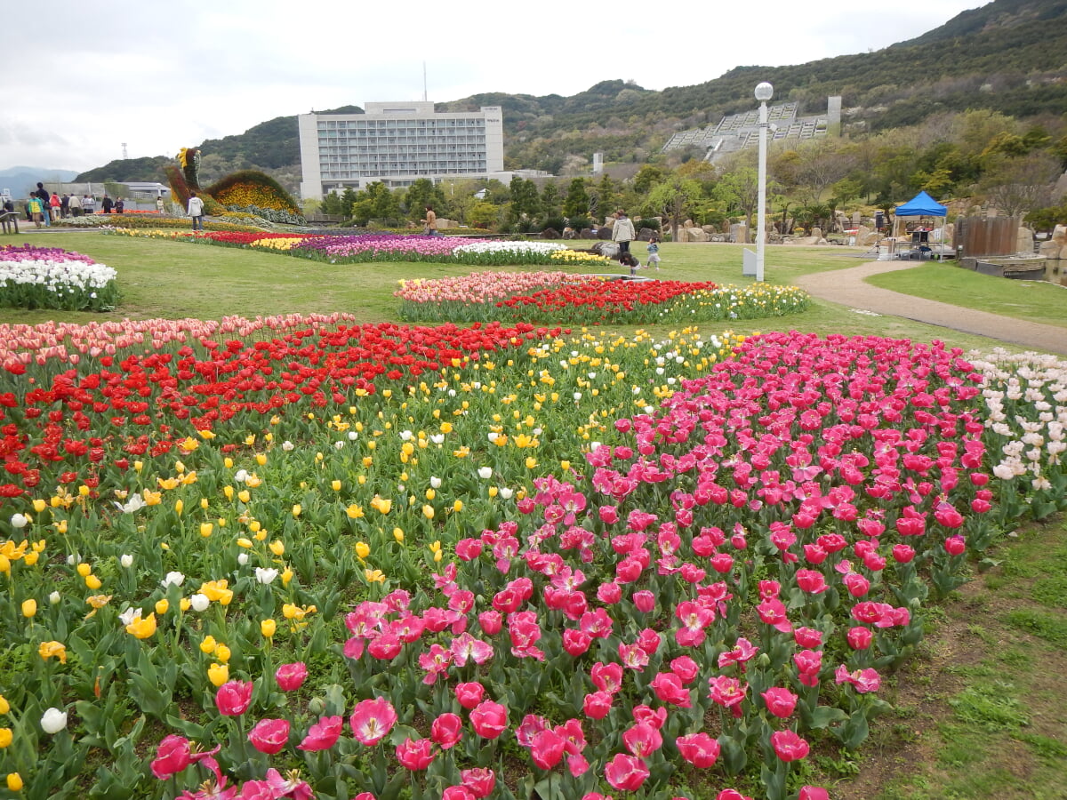 淡路島国営明石海峡公園の写真18