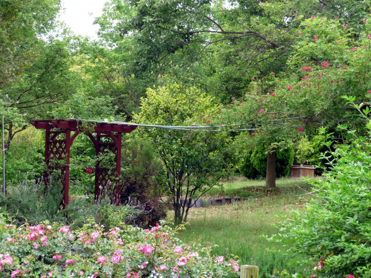 淡路島国営明石海峡公園の写真22