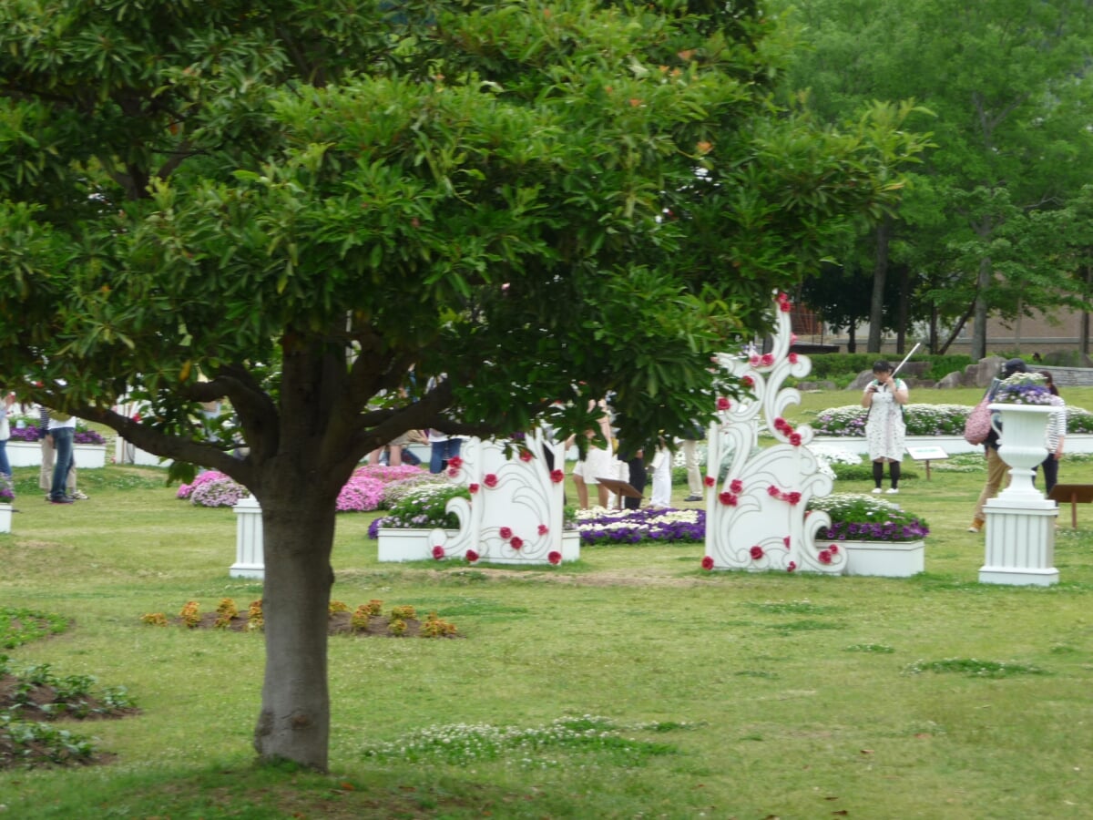 淡路島国営明石海峡公園の写真23