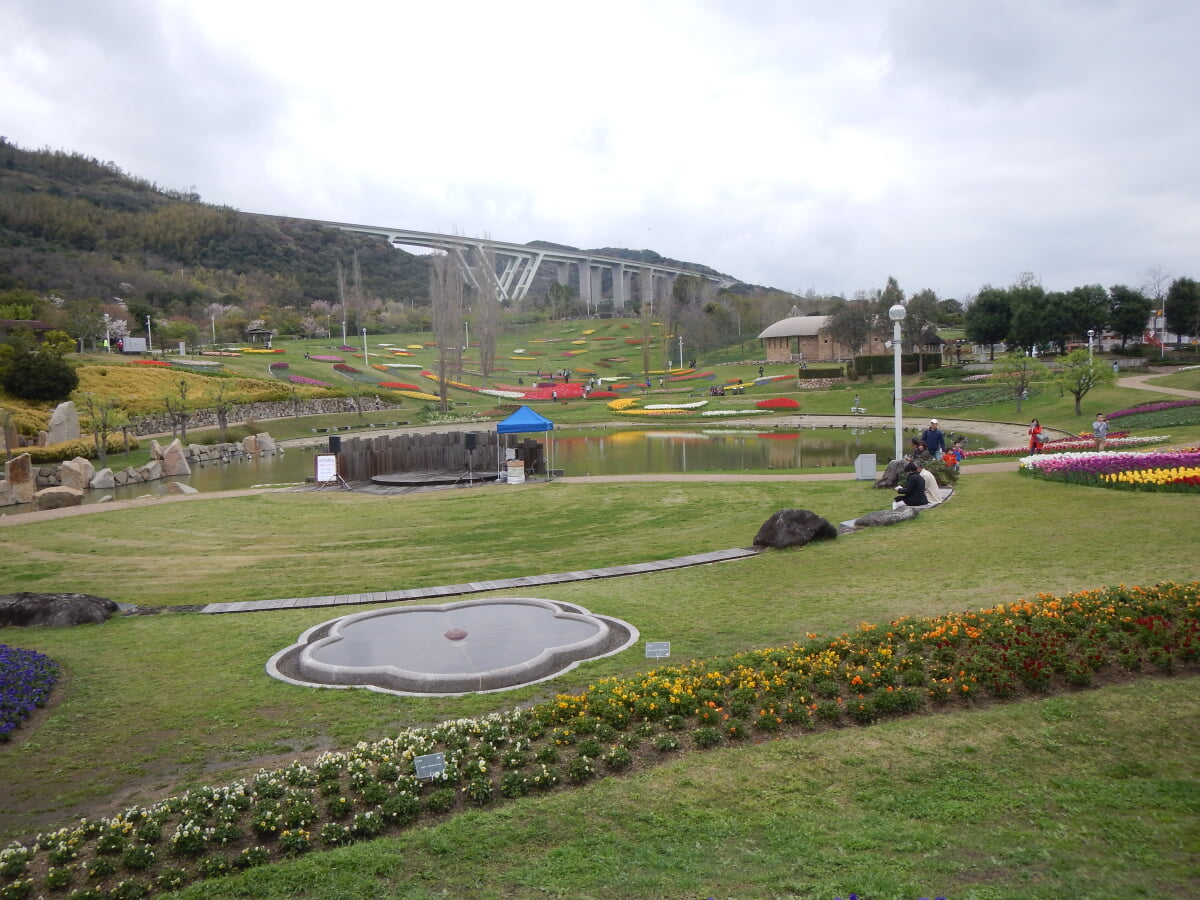 淡路島国営明石海峡公園の写真26