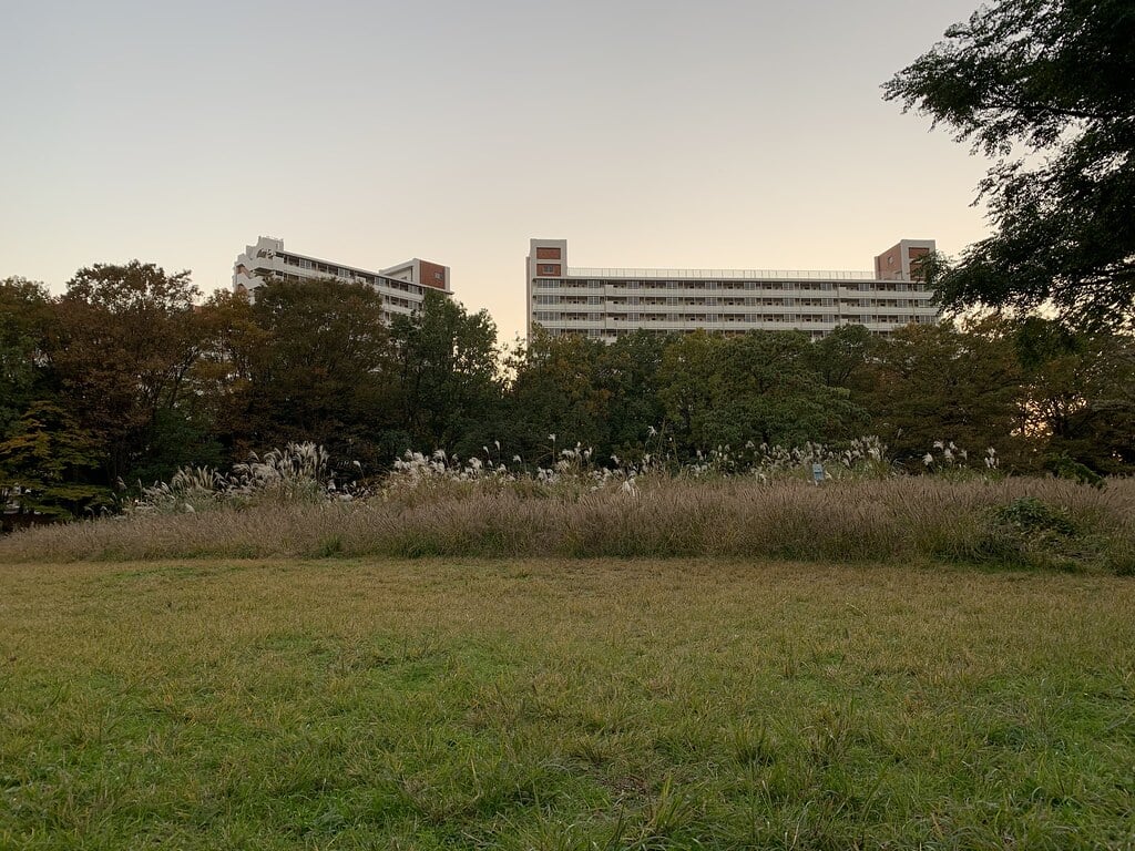 光が丘公園の写真3