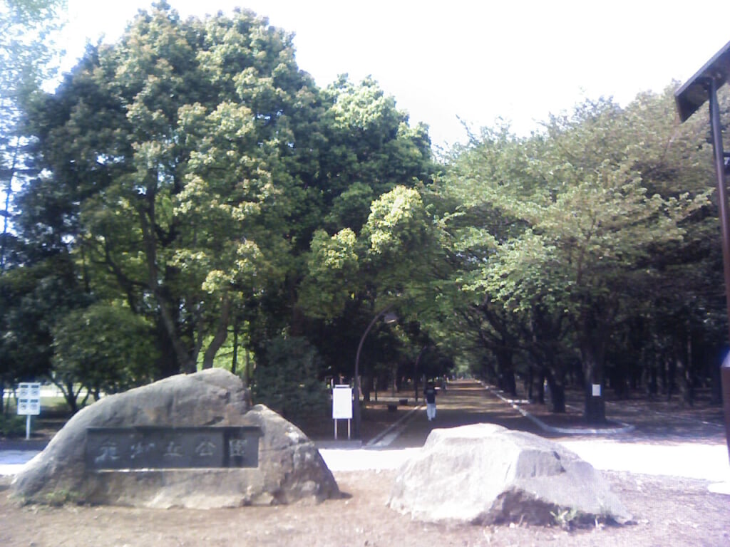 光が丘公園の写真10