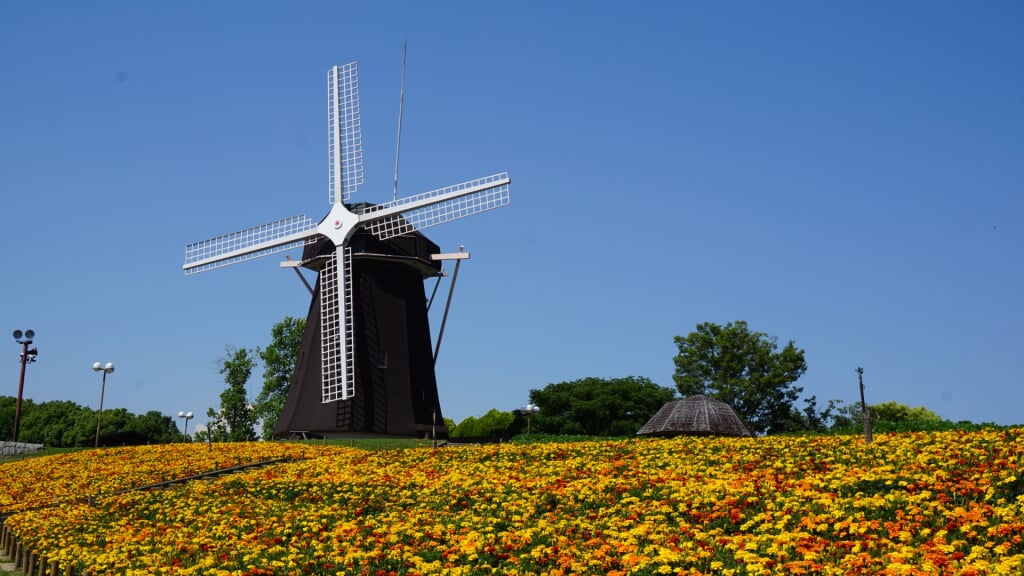 花博記念公園 鶴見緑地の写真6