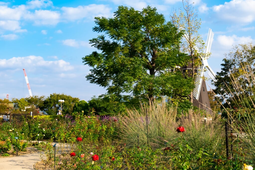 花博記念公園 鶴見緑地の写真7