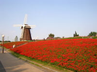 花博記念公園 鶴見緑地