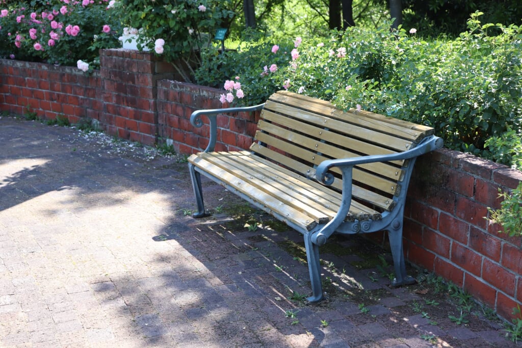 蜻蛉池公園の写真8