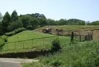 磯沼ミルクファーム