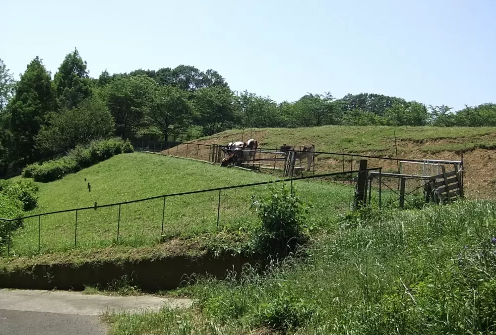 磯沼ミルクファームの写真1