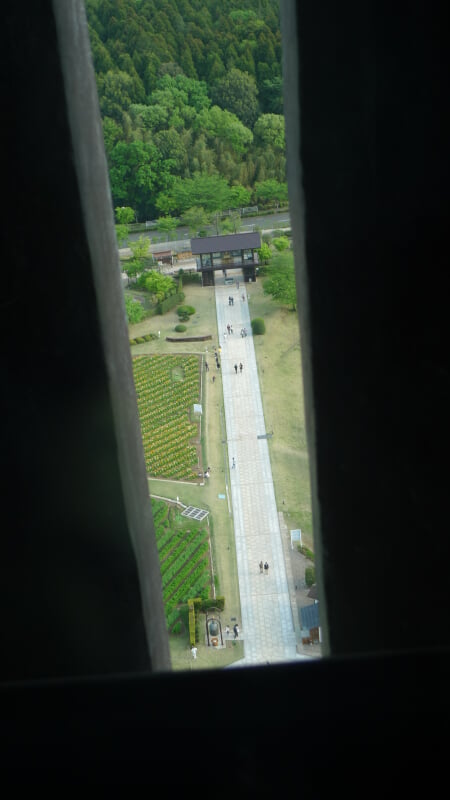 牛久大仏の写真2