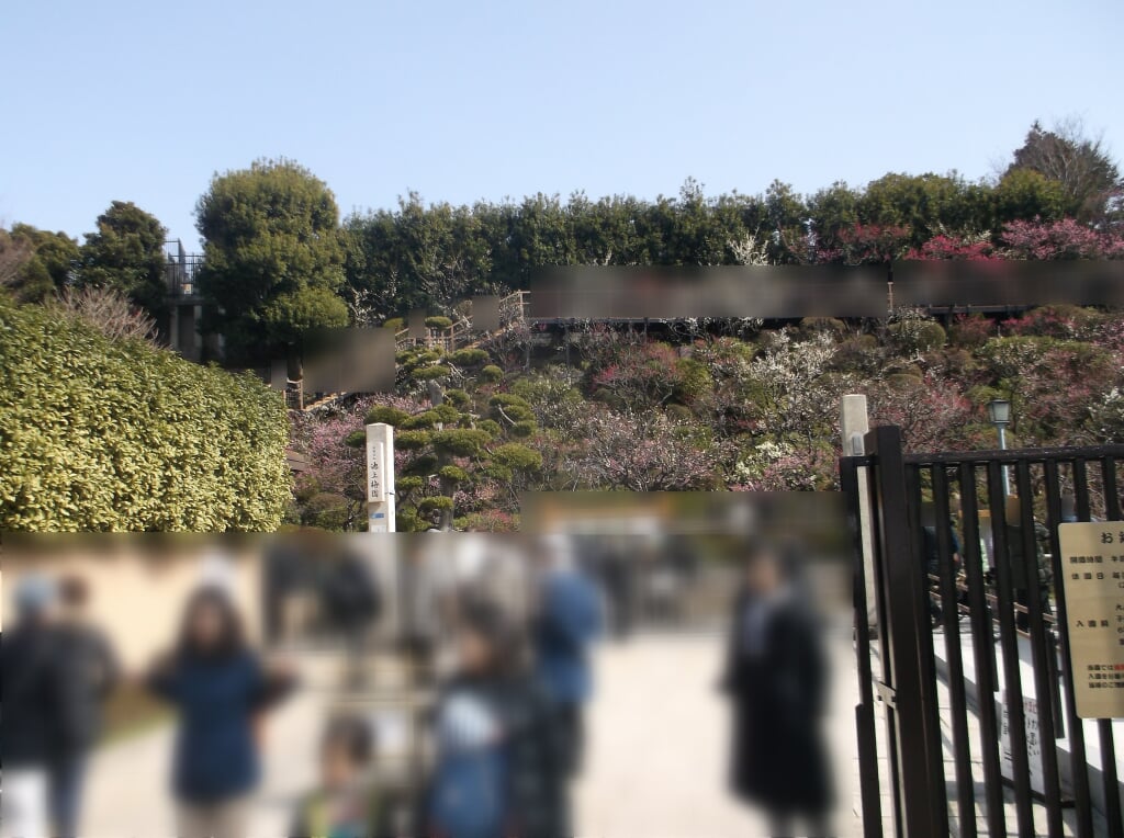 池上梅園の写真3