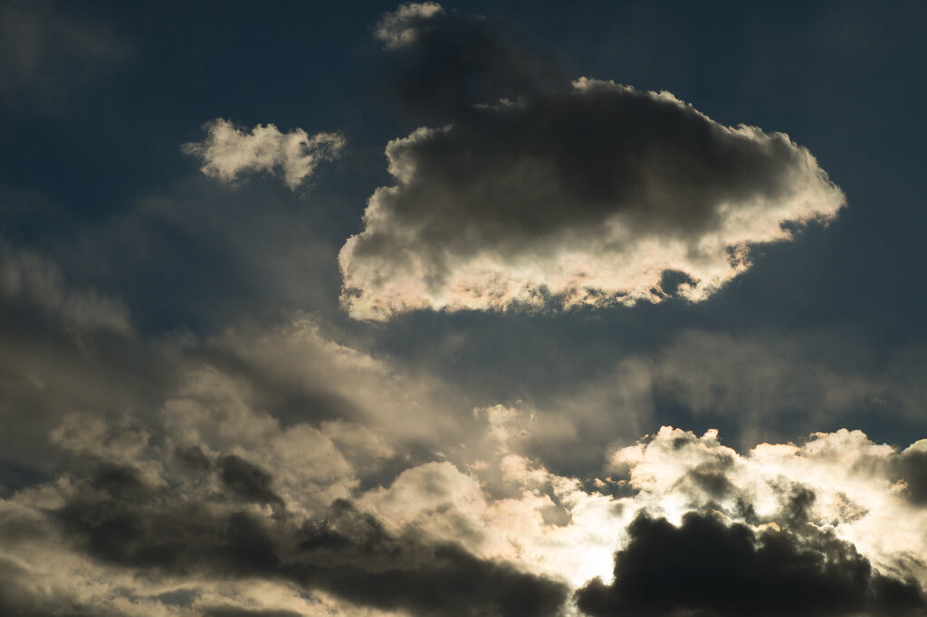 池上梅園の写真4