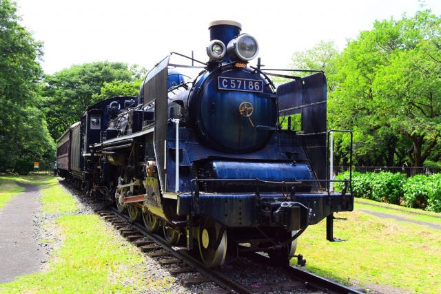 小金井公園の写真3