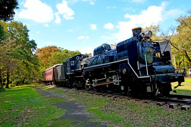 小金井公園の写真1