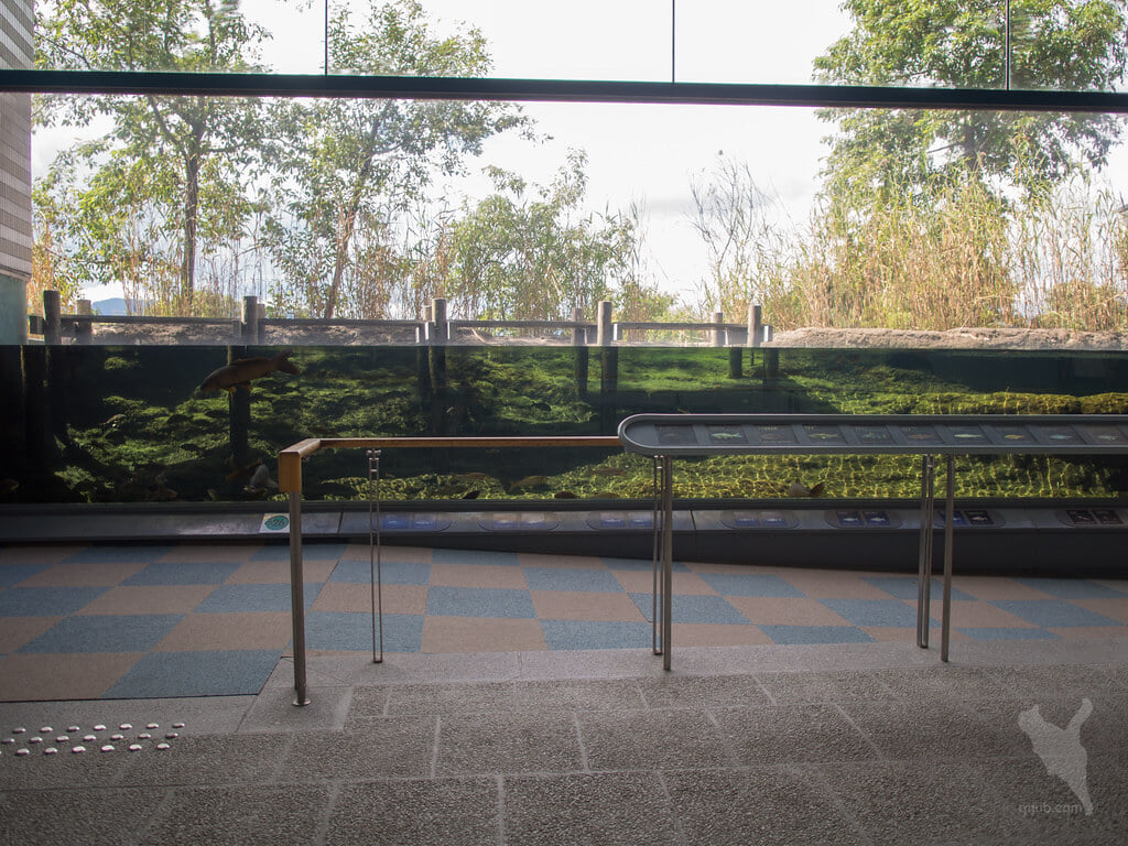 滋賀県立琵琶湖博物館の写真8