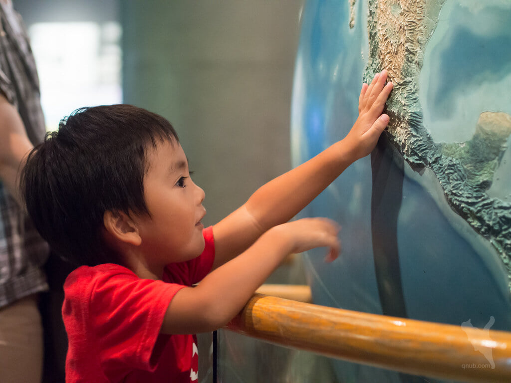 滋賀県立琵琶湖博物館の写真1