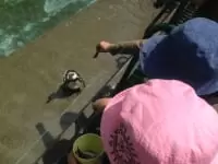 羽村市動物公園