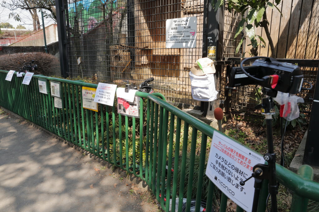 羽村市動物公園の写真15
