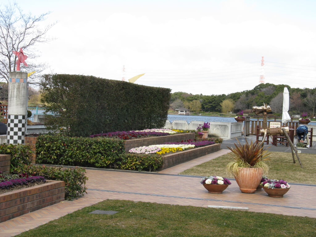 大泉緑地の写真2