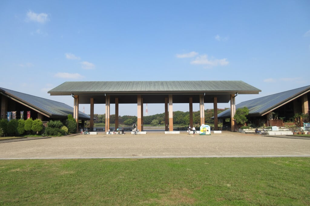 大泉緑地の写真3