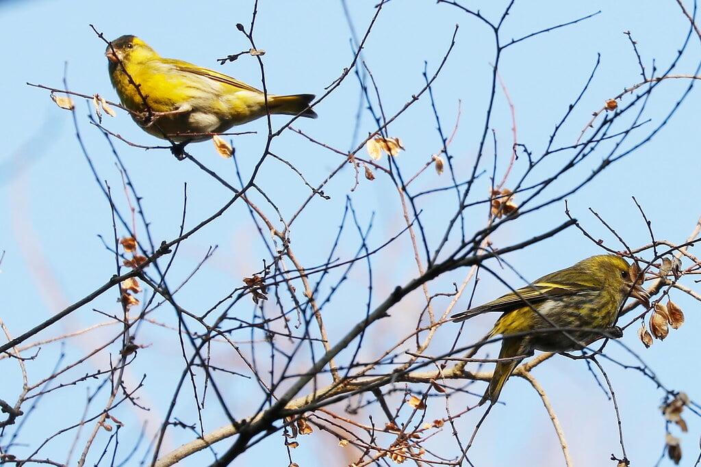 大泉緑地の写真5