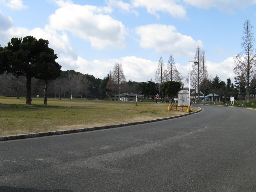 大泉緑地の写真7