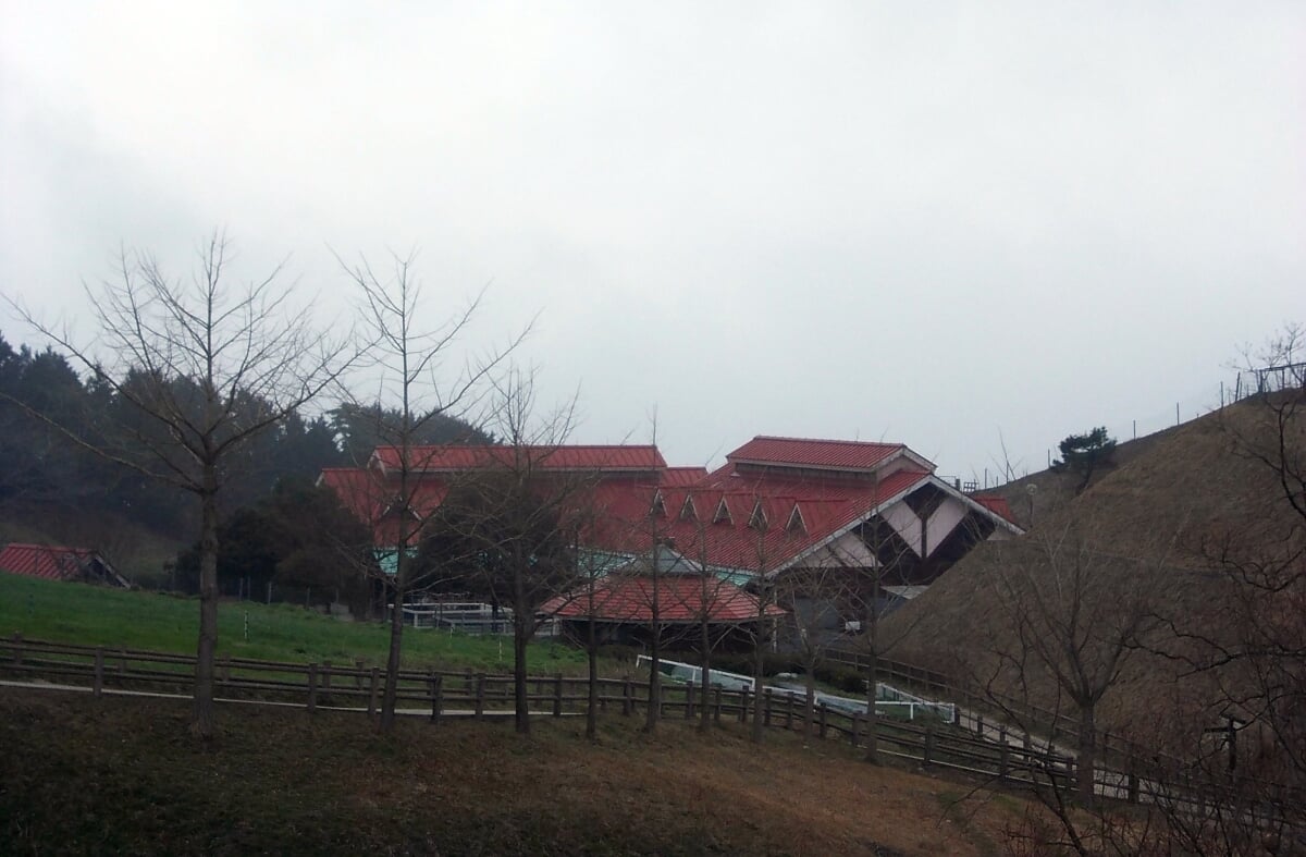 も～も～らんど油山牧場の写真2