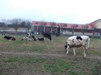 も～も～らんど油山牧場