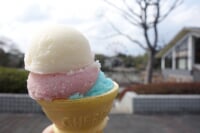 わんぱーくこうちアニマルランド