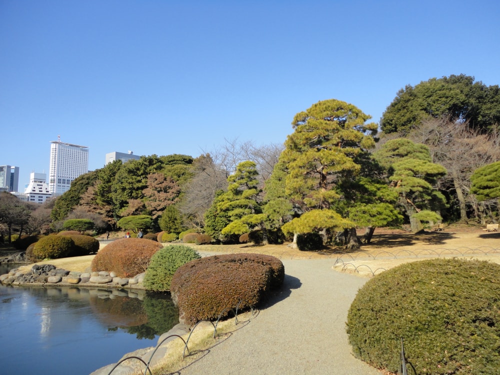 新宿御苑の写真4