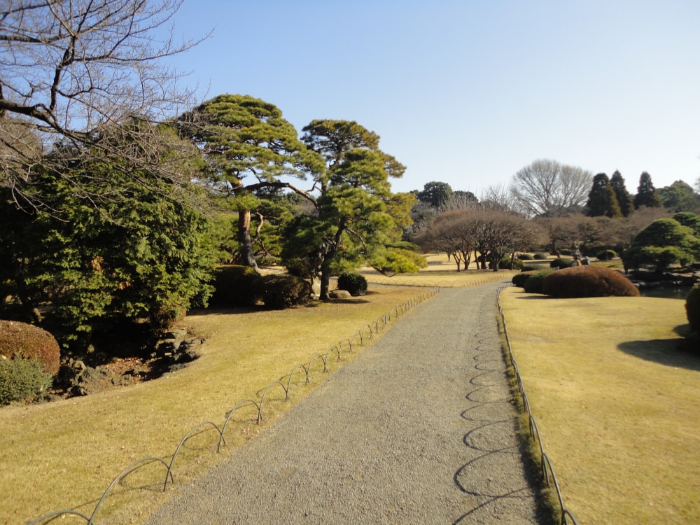 新宿御苑の写真6
