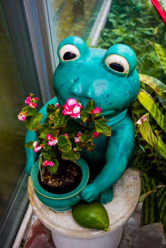 板橋区立熱帯環境植物館の写真2