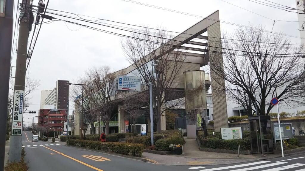 板橋区立熱帯環境植物館の写真8