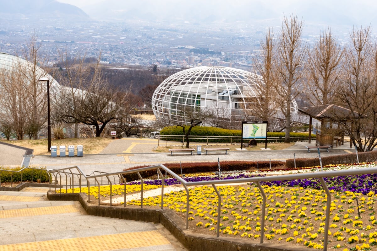 山梨県 笛吹川フルーツ公園の写真5