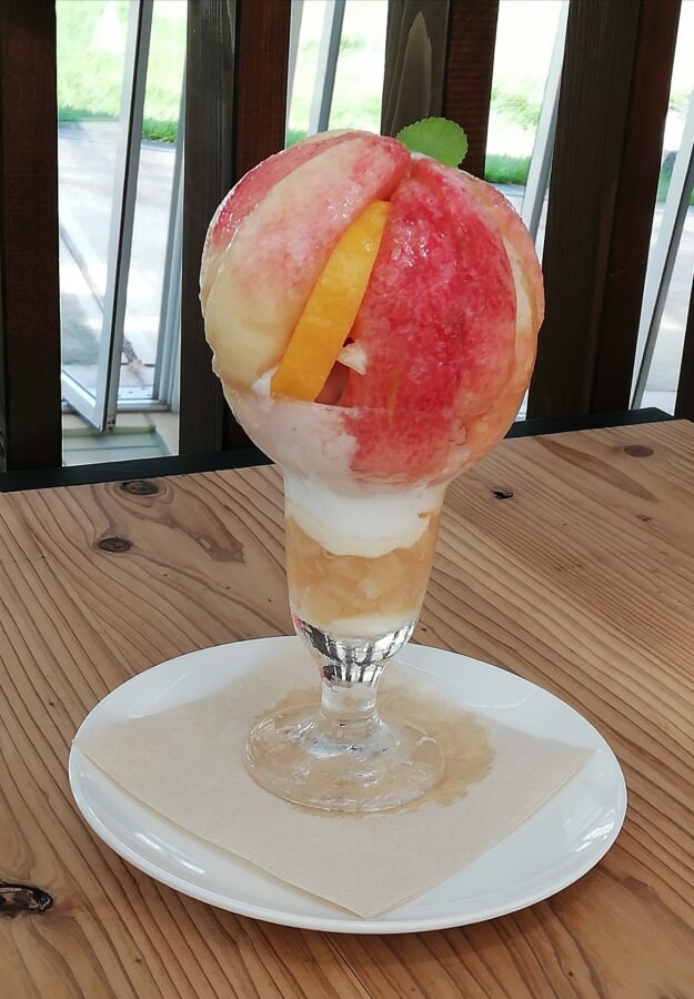 山梨県 笛吹川フルーツ公園の写真7