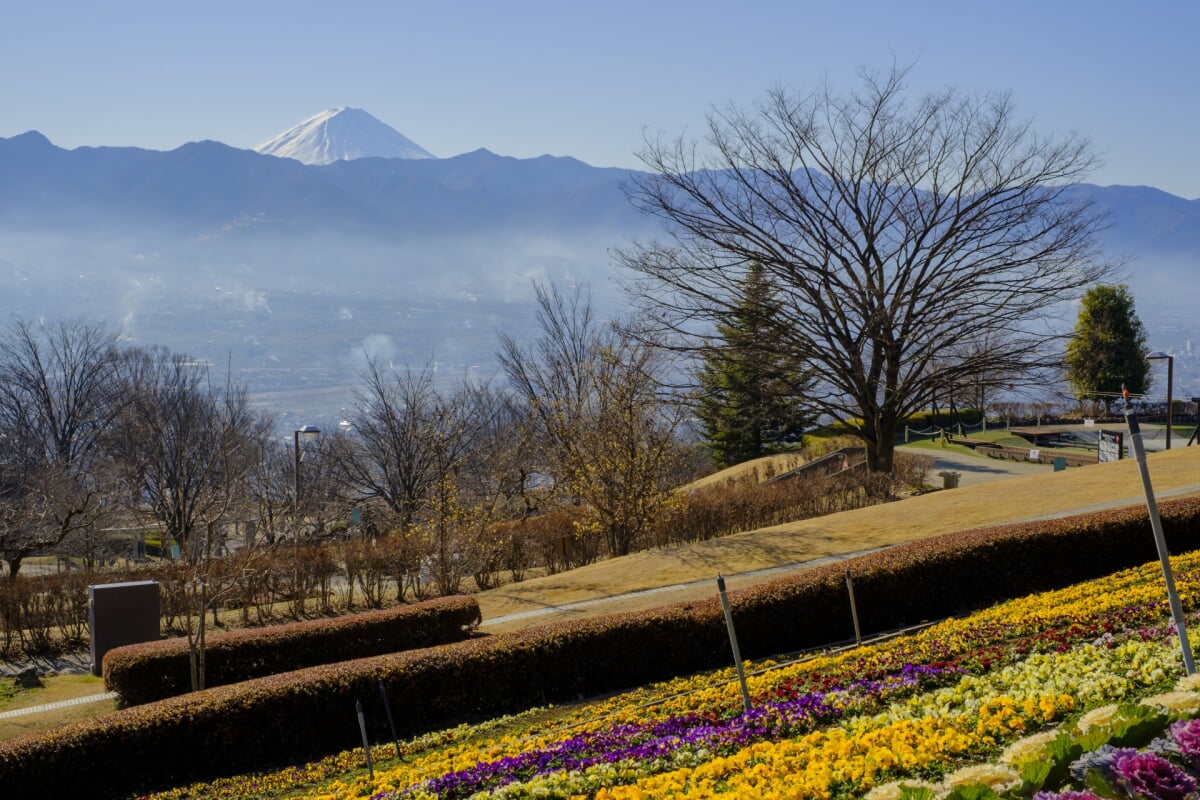 山梨県 笛吹川フルーツ公園の写真13