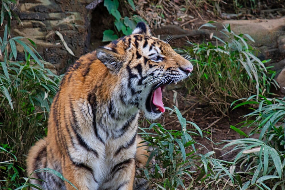 東京都 多摩動物公園の写真3